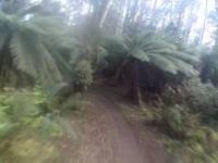 Big Chook