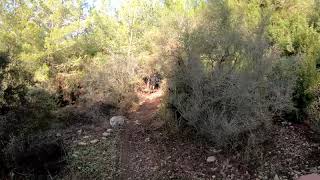 ‫משמר העמק - פינקי | Mishmar...