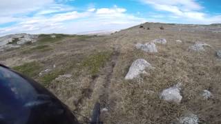 Cagarachi forest trail