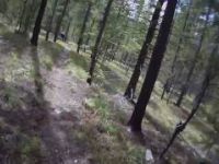 Porcupine Creek (205)