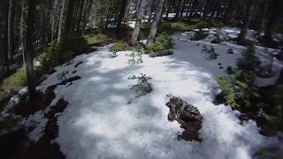 Porcupine Creek (205)
