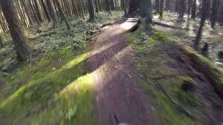 Thornhill - Trail Dweller - Mountain Biking...
