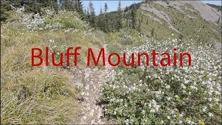 VOTR Bluff Mountain to 173 Loop