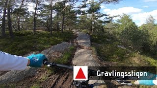 MTB Delsjön - Grävlingsstigen