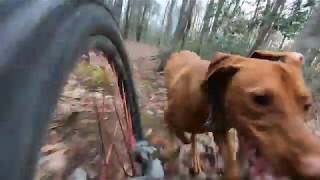 Turkey Pinned with Zeb