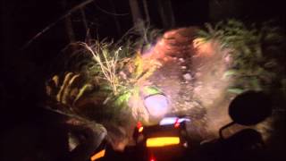 Pallet Trail - Night Ride
