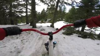 Skibike trail ride