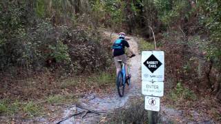 Rabit Ears at Alafia River State Park