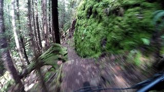 Transmission to Catnip (Gimbal) - Forbidden...