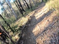 WELBY BLACK Loop ride