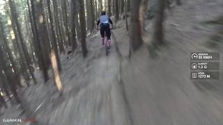 Antonius Trail - Bikepark Leogang | LINES