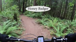 Honey Badger 7/6/2019