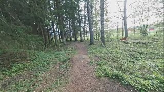 04 May Leikeplassen - Hovskogen, Askim, Indre...