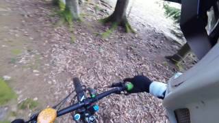 Hovskogen 17 03 2017 part2