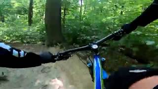Las Wolski-Stara Plomba