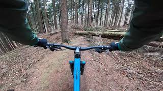 Fire roads and Black Wolf Trail - Iserlohn