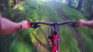 MTB XC w Lesie Bronaczowa