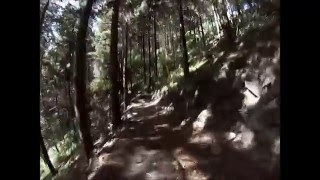 Silvan Forest mtb with Greg B Part 1