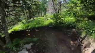 Åre Bike Park - Månskogen & Getrappet -...