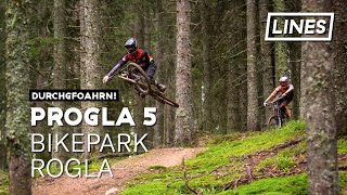 Bike Park Rogla - Progla 5 | LINES