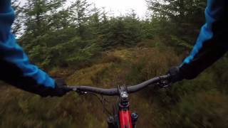 Yair, Off the Saddle