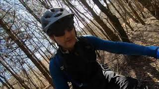 Forest Of Dean 2019 - Big Pig: middle segment...