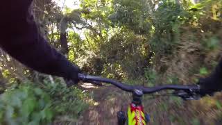 Pista DH/Enduro Pico da Bandeira - Rio do Sul