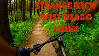 Strange Brew - West Bragg Creek [Evo SS Gimbal...