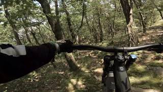 Mountain Creek - Are IPA's really that bad?