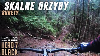Skalne Grzyby - Czerwony // Batorów, Sudety, MTB