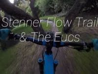 Mountainbiking Stenner Flow/The Eucs-4K GoPro...