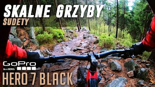 Skalne Grzyby - Niebieski // Batorów, Sudety, MTB