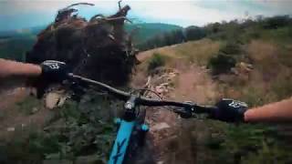 ROCKY FOREST TRAIL