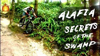 Alafia Mountain Biking: Trail Riding Tour