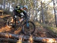 StevieTrail switchbacks