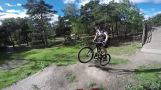 MTB Dirting with the kids