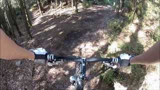 A good day in Jegersberg