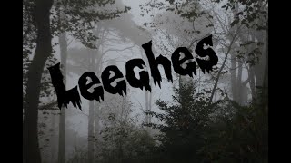 Leeches - A loamy edit in the Garigal National...