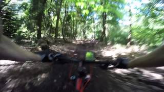 Chasing Daan Downhill
