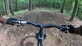 Am Waldbad Downhill Trail Mountain Bike...
