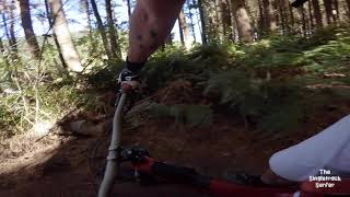 Better Than P @ Craters of the Moon MTB Park