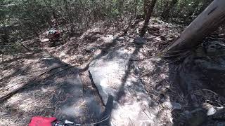 BTT - Single da Cova - Viana do Castelo