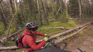 North Willow Cr. Trail No. 301 - Pony, Montana