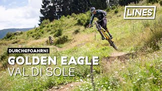 Golden Eagle - Bikeland Val di Sole | LINES