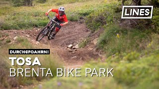 Tosa - Brenta Bike Park | LINES