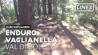 Enduro Vaglianella - Val di Sole | LINES