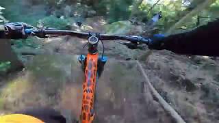 Sintra NÍVEL 11 - BTT MTB - Giant Reign -...