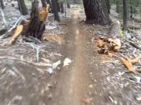 Toads Wild Ride (Mountain Bike Trail)