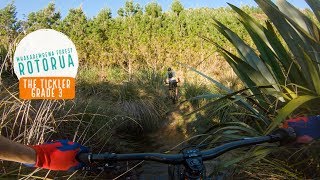 Tickler, Rotorua - Not your normal tickle