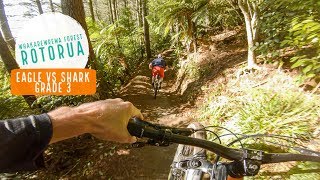Eagle Vs Shark, Rotorua - FAST and FUN for anyone!
